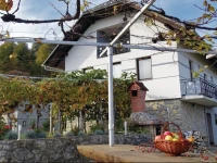 Holiday Home Dragatus with Fireplace 01 