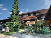 Apartments Cokla 