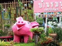 Baan Chompoo Homestay 