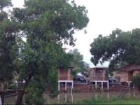 The Country Farm Resort & Homestay 