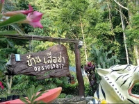Baan Sua Pa 
