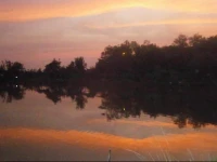 Freddies Fishing Park 