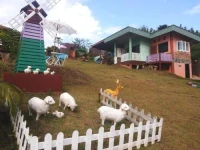 Mok Ingtarn Resort Khaoko 