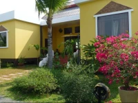The Yellow House @ Chiang Mai 