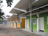 The Palm Village 