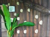 CYDA Guest House 