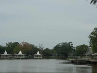 P.P. Palm Mansion1 