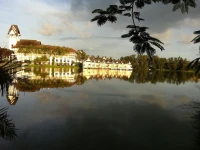 The Allamanda - Unit 1108 