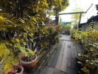 Kaloang home 
