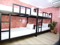 Thai Cat Hostel 