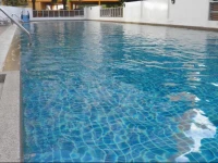 The Phoenix 3*