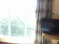 Buddy Place 2*