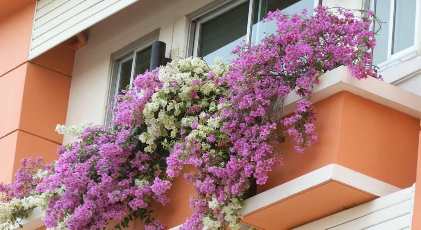 Sandy Serviced Apartment 
