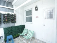 Tiger Lily Hostel 
