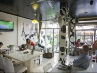 Mad Cow Hostel 