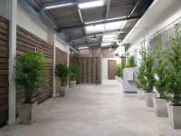 Baan Mai Guest House 