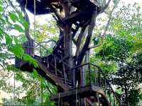 Rabeang Pasak Tree House 