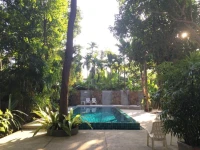 Fern House Retreat 