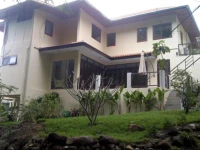 Chaweng Bungalow with Elephants 