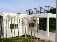 Jungle Livin at Design Square 