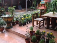 Coconut House Chaweng - Hostel 