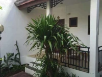 Little Jungle Resort 