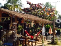 Black Cats Vacation Rental 