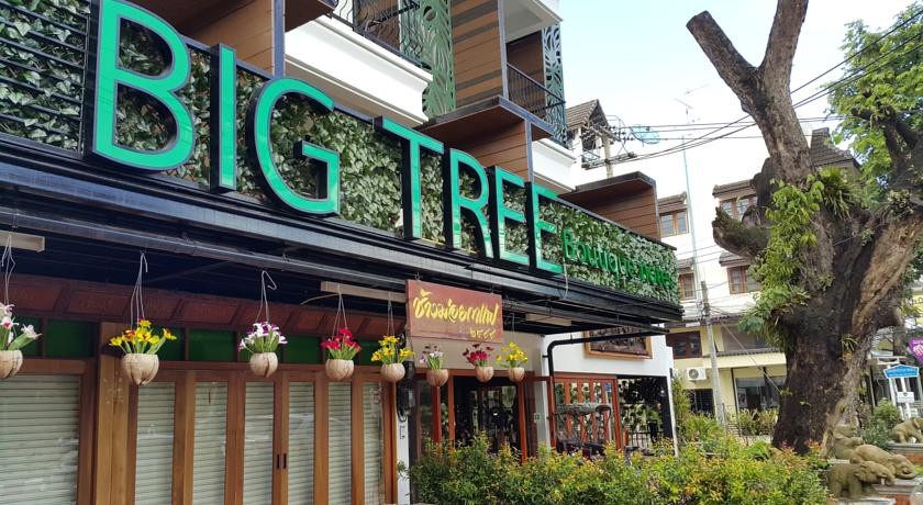 Big Tree Boutique Hotel 