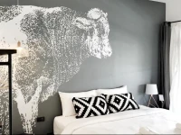 Oxotel 