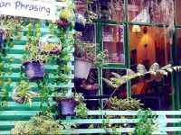 Baan Phra Sing Guesthouse 