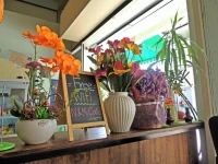 Love CNX Guesthouse 