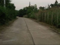 Homestay Punnasa 
