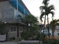 Tummi House 