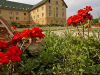 Vis Vitalis Medical Wellness Hotel 4*