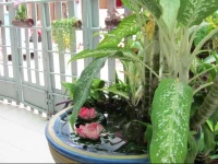 Guest House Jomtien 