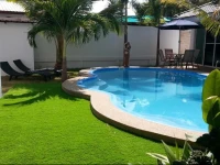Coconut Palms 