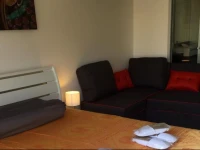 The Chic Condo 