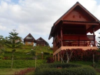 Khao Kho Flora 1*