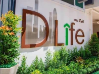 The DLife 