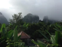 Khao Sok Morning Mist Resort 