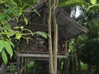 Khaosok Island Resort 