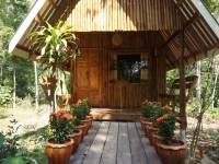 Khao Sok Jungle Resort 