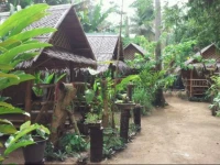 Jackie Bamboo House 