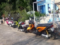 Belinda Home 