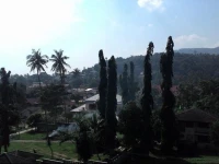 Just Sleep Dormitory On The Hill Samui Lamai 