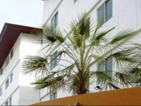 The Ivory, Suvarnabhumi Airport 