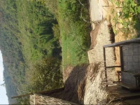 Dee House Homestay 