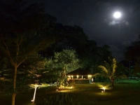 Phuket Campground 