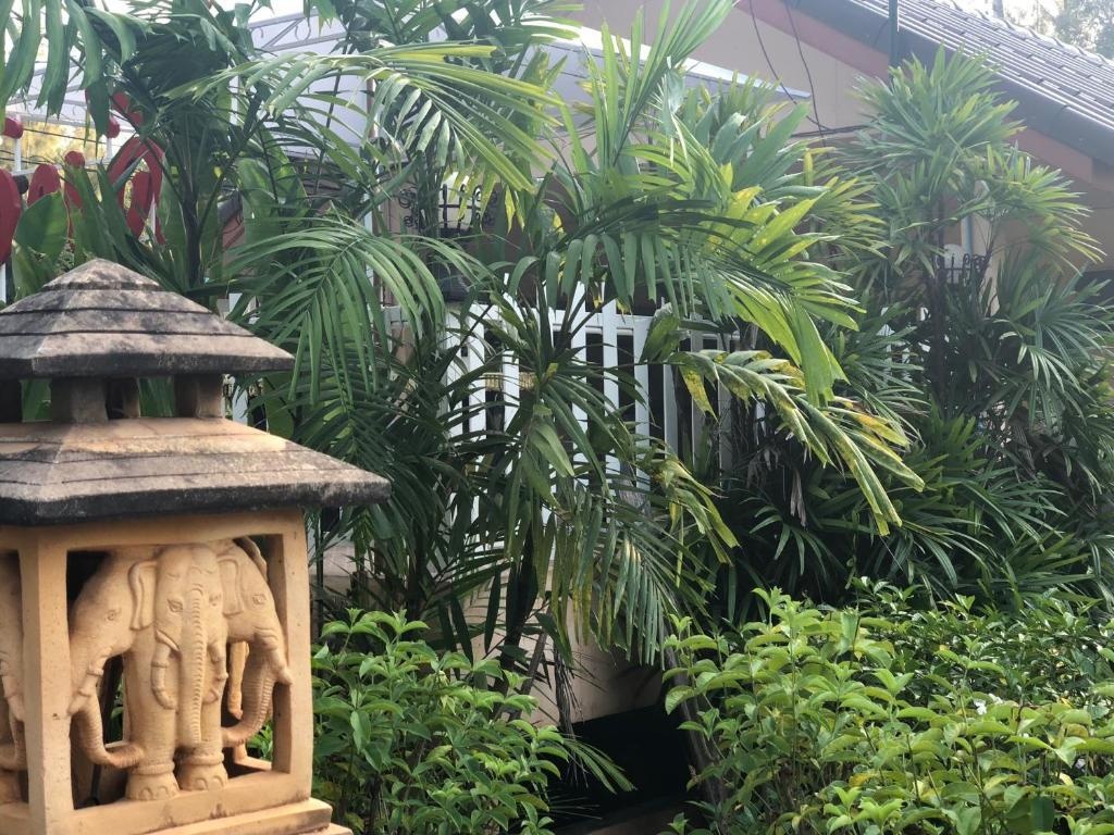 Sukhothai Indy Resort 