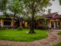 Tree Home Plus 